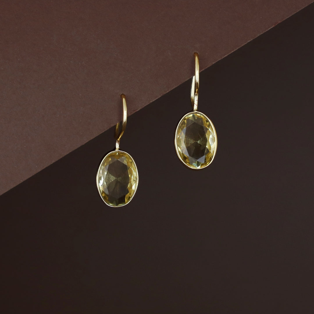 Nayanika Glossy Drop Earrings