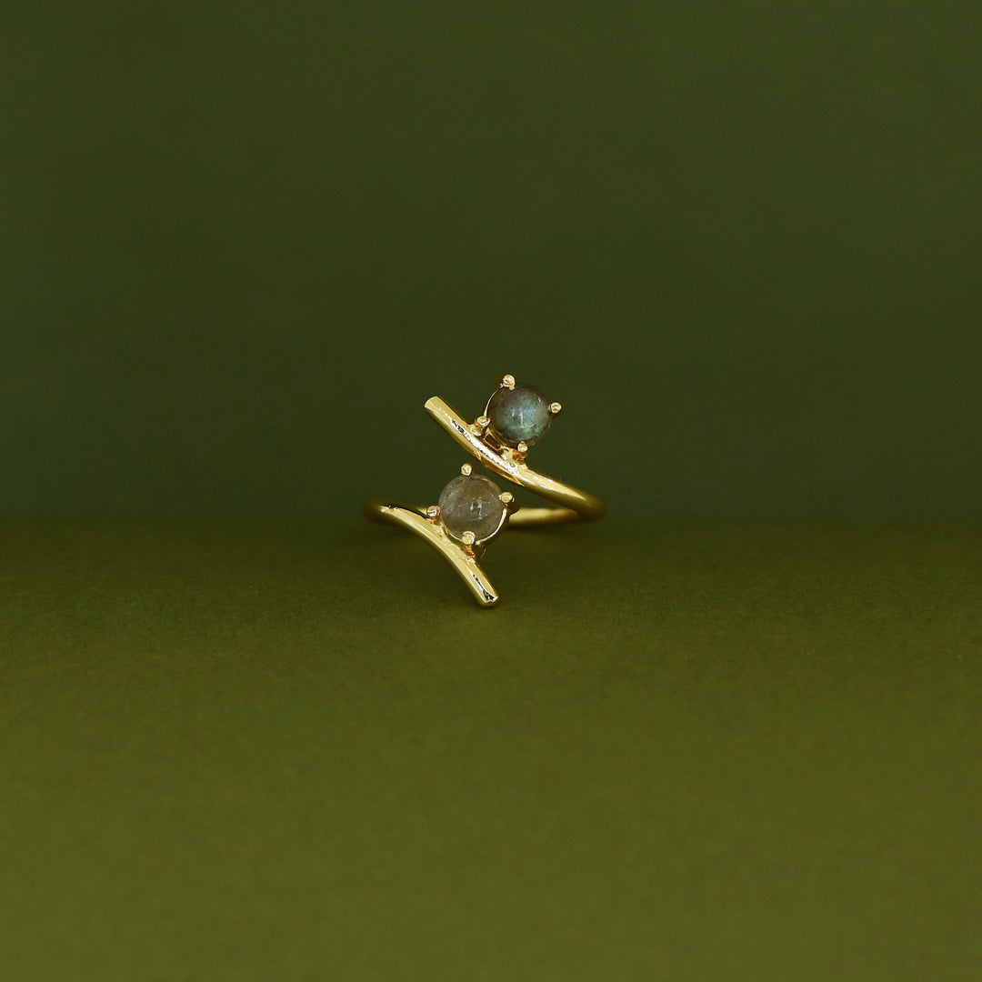 Golden Dual Glossy Ring