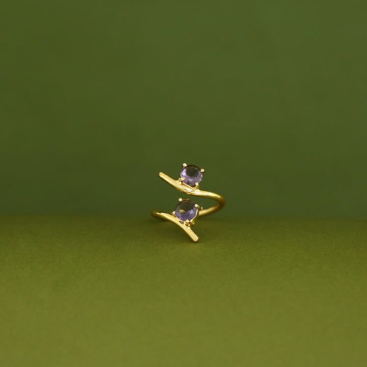 Golden Dual Glossy Ring