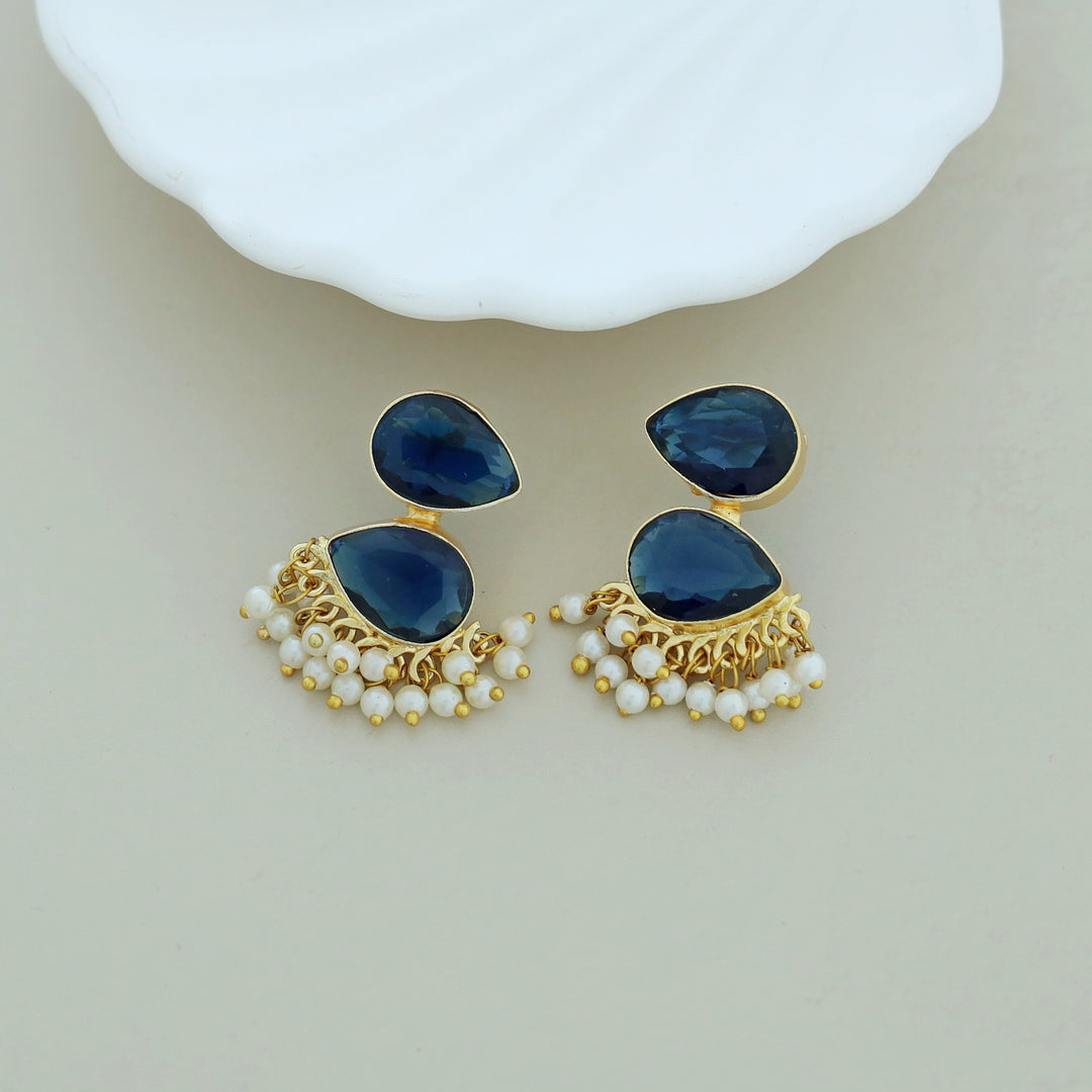 Glossy Rooster Earring (Colour Option)