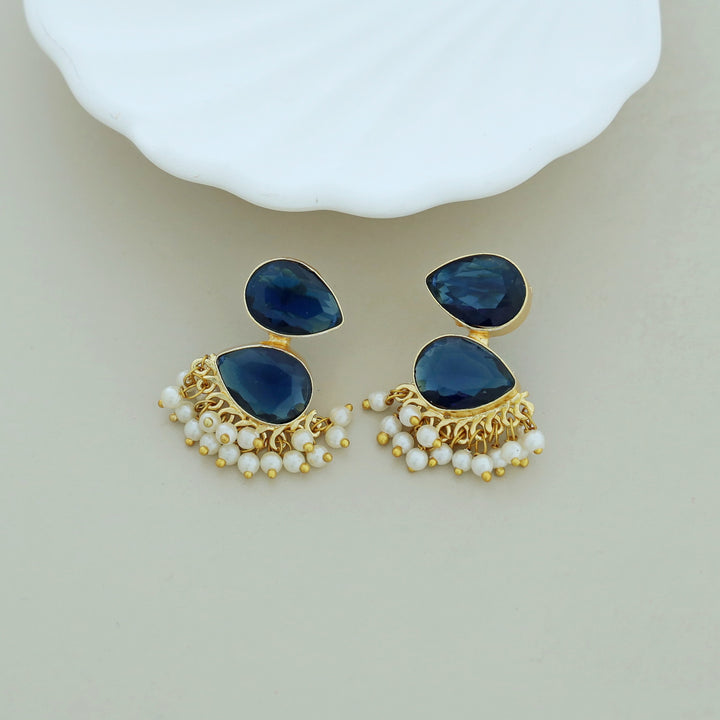 Glossy Rooster Earring (Colour Option)