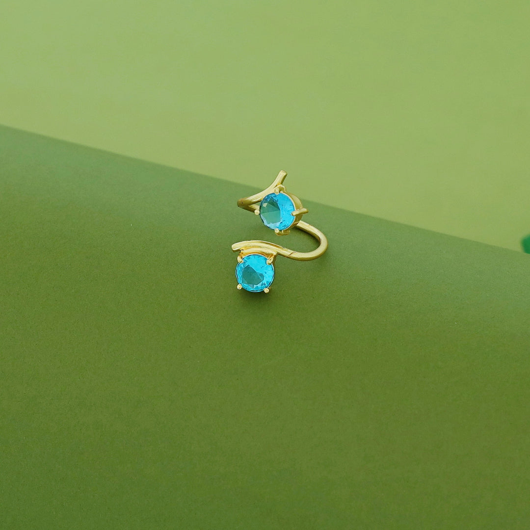 Golden Dual Glossy Ring