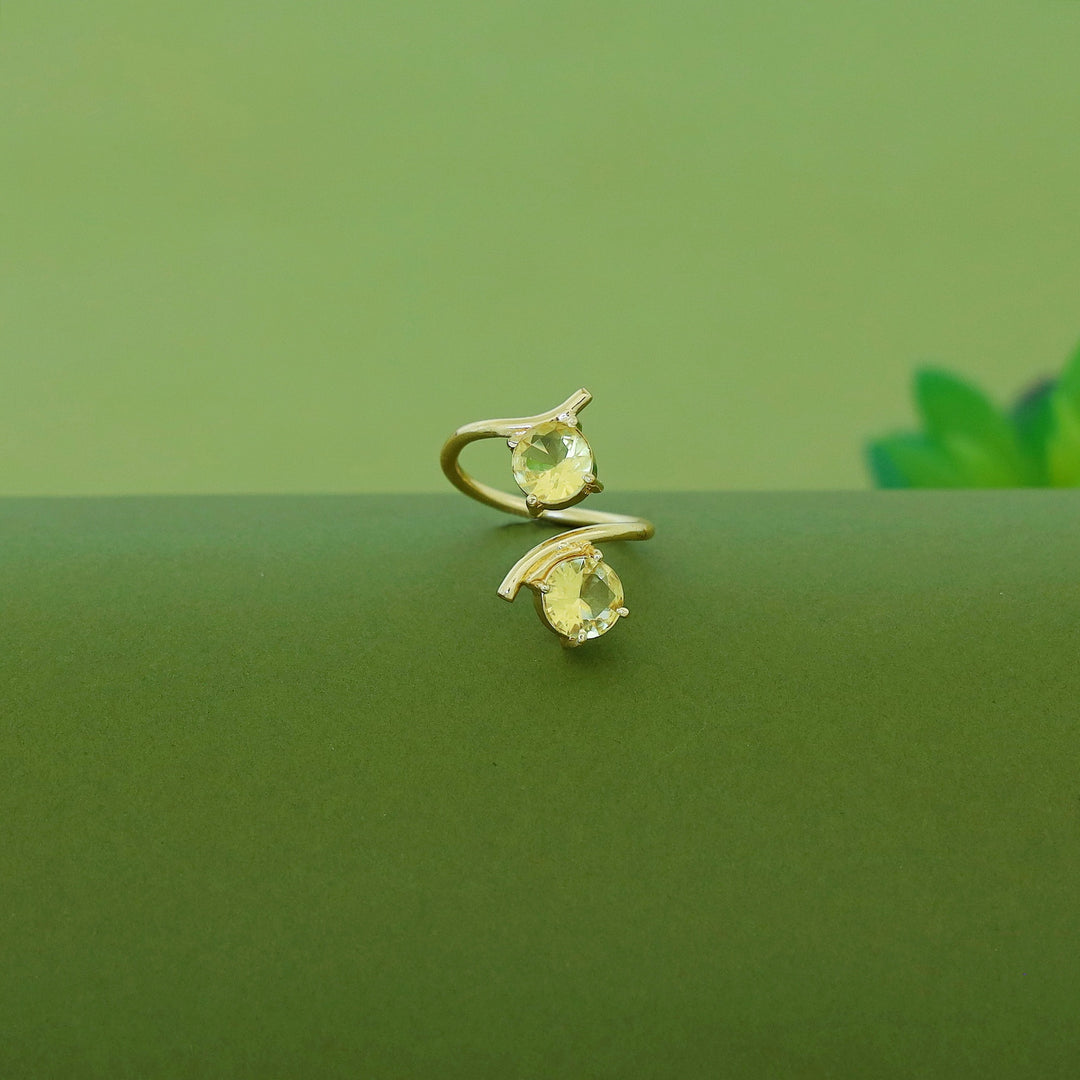 Golden Dual Glossy Ring