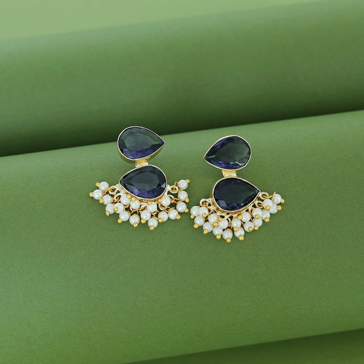 Glossy Rooster Earring (Colour Option)