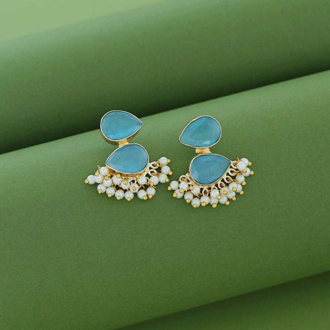 Glossy Rooster Earring (Colour Option)