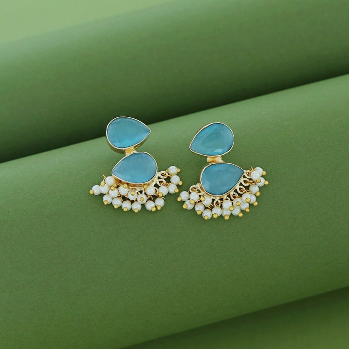 Glossy Rooster Earring (Colour Option)