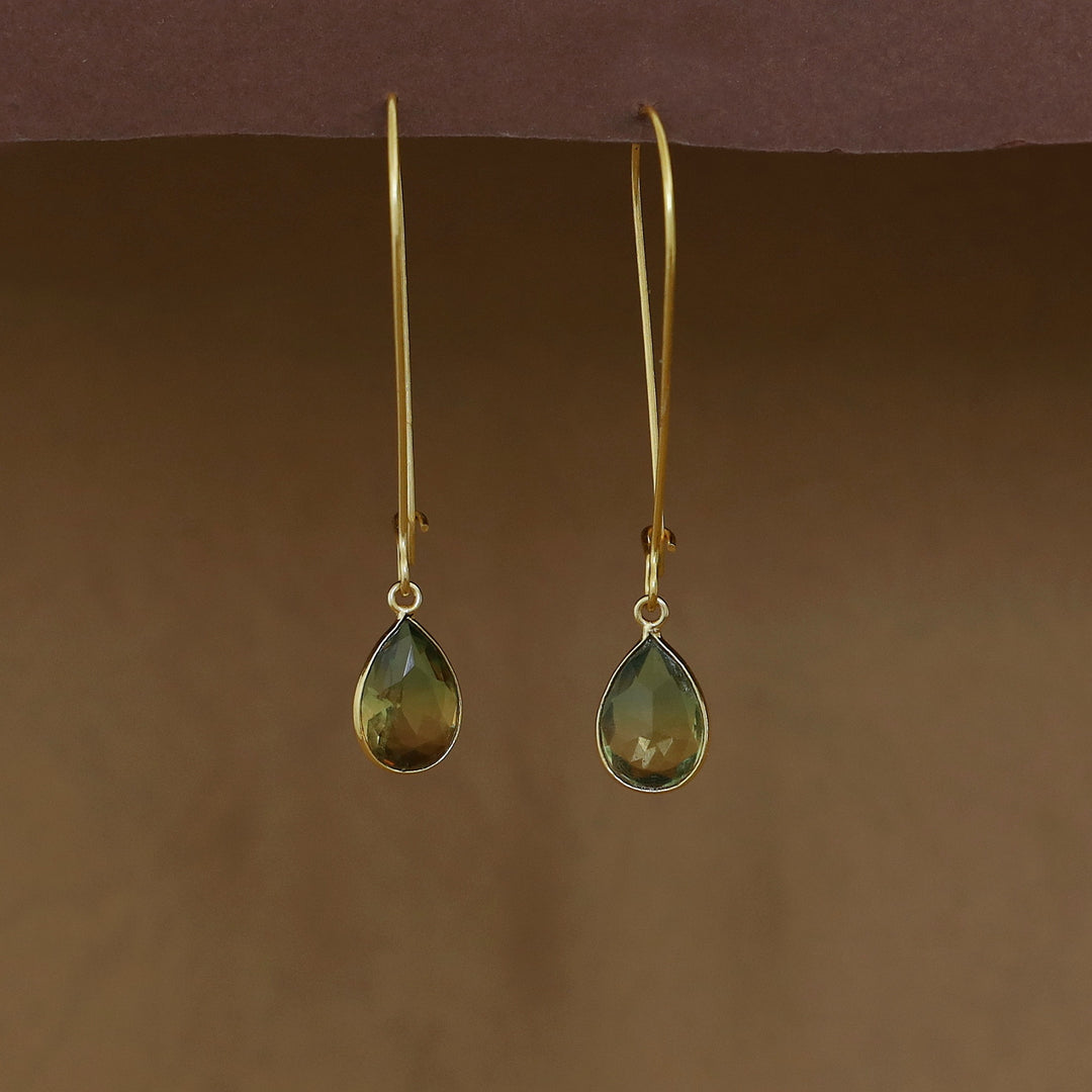 Charmi Drop Glossy Stone Lock Hoop Earring