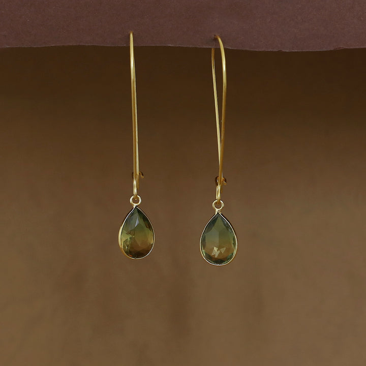 Charmi Drop Glossy Stone Lock Hoop Earring