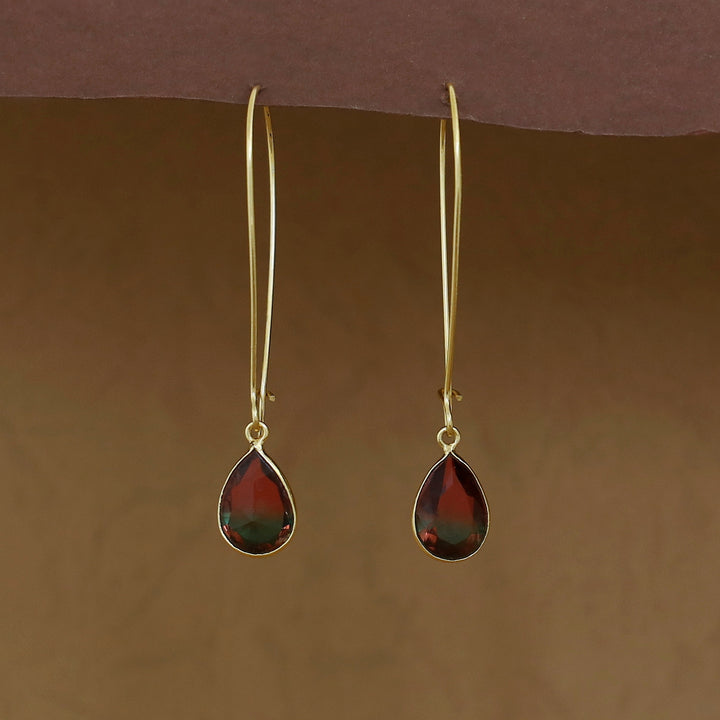 Charmi Drop Glossy Stone Lock Hoop Earring