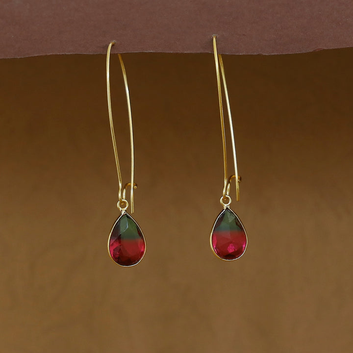 Charmi Drop Glossy Stone Lock Hoop Earring