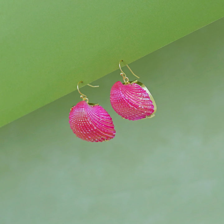Coloury Claw Sea Shell Drops