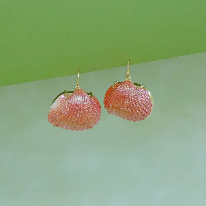 Coloury Claw Sea Shell Drops