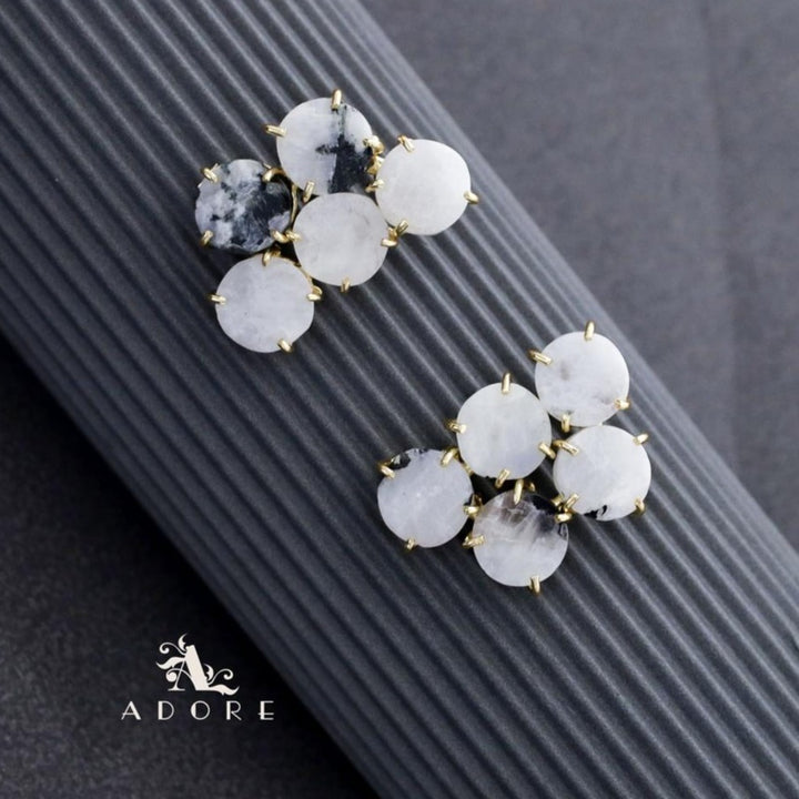 Penta Round Claw Raw Stone Earring