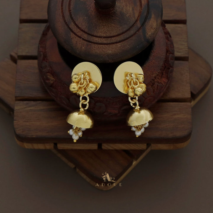 Anarviya Ghungroo Neckpiece With Earring
