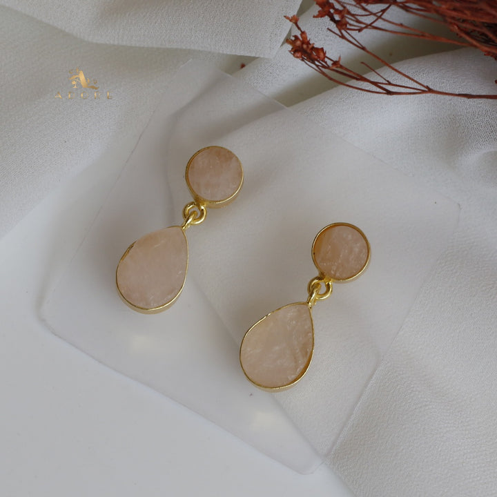 Circle And Drop Earring
