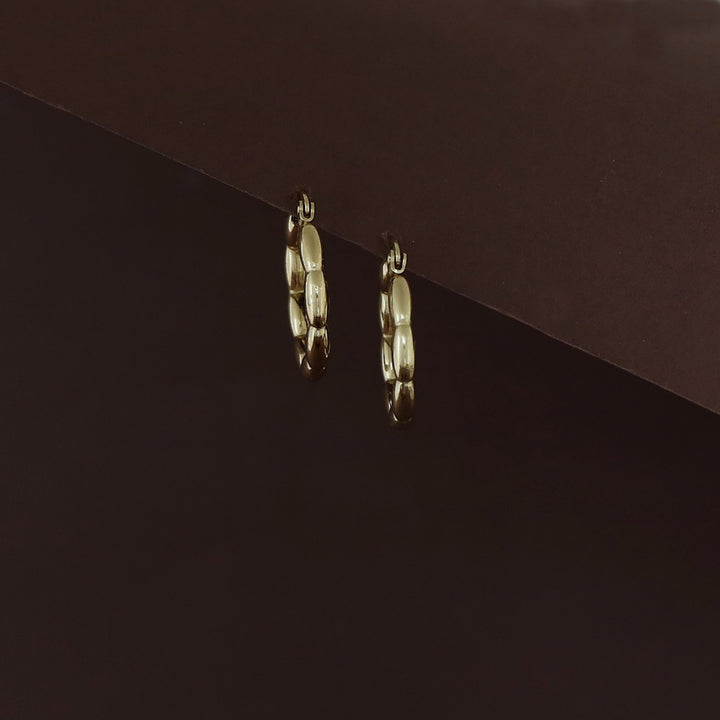 Rajvi Golden Hoop Earring