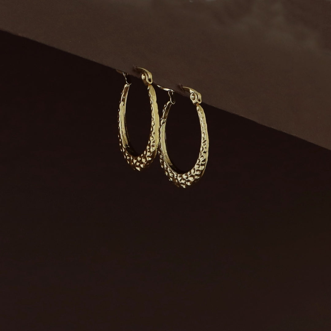 Rajvi Golden Hoop Earring