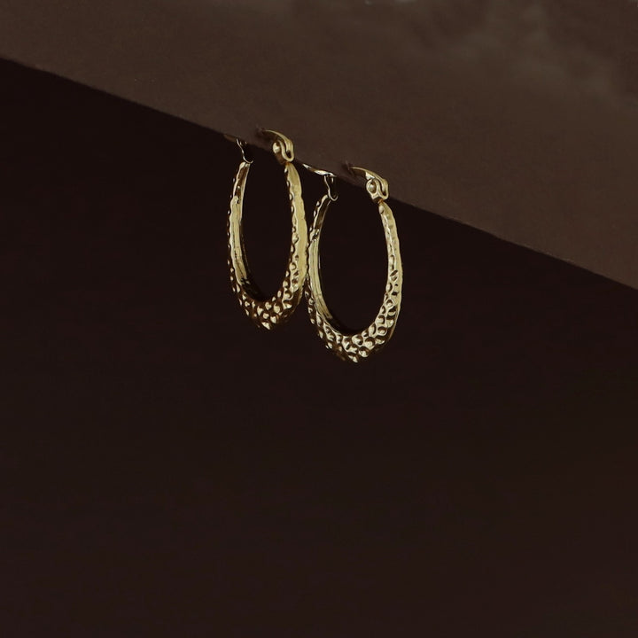 Rajvi Golden Hoop Earring