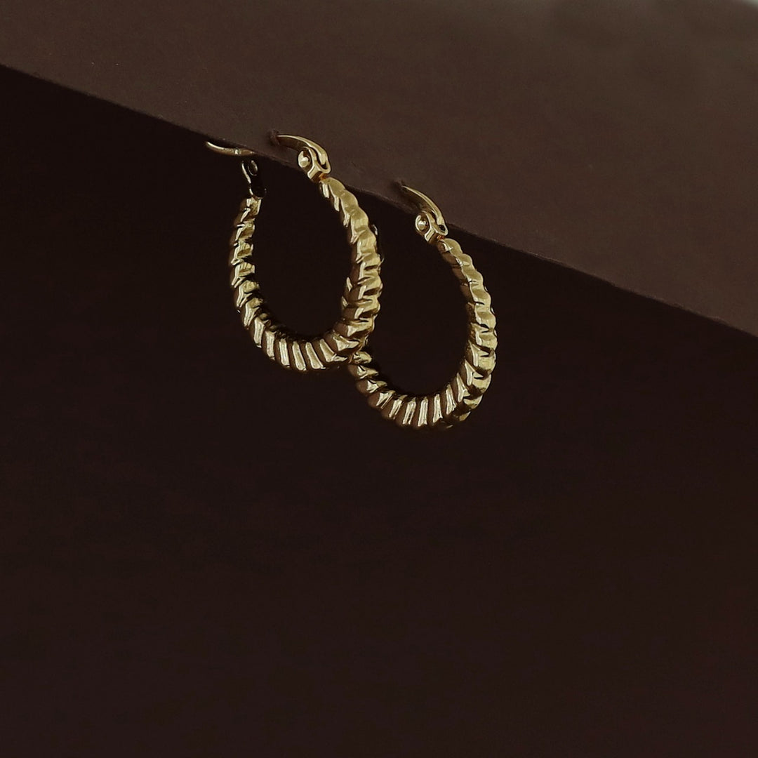 Rajvi Golden Hoop Earring