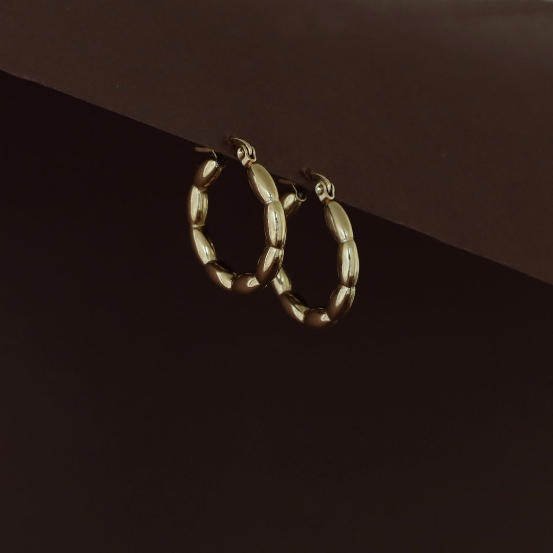 Rajvi Golden Hoop Earring