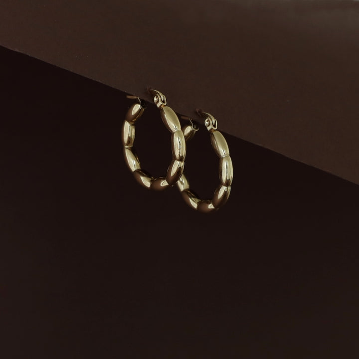 Rajvi Golden Hoop Earring