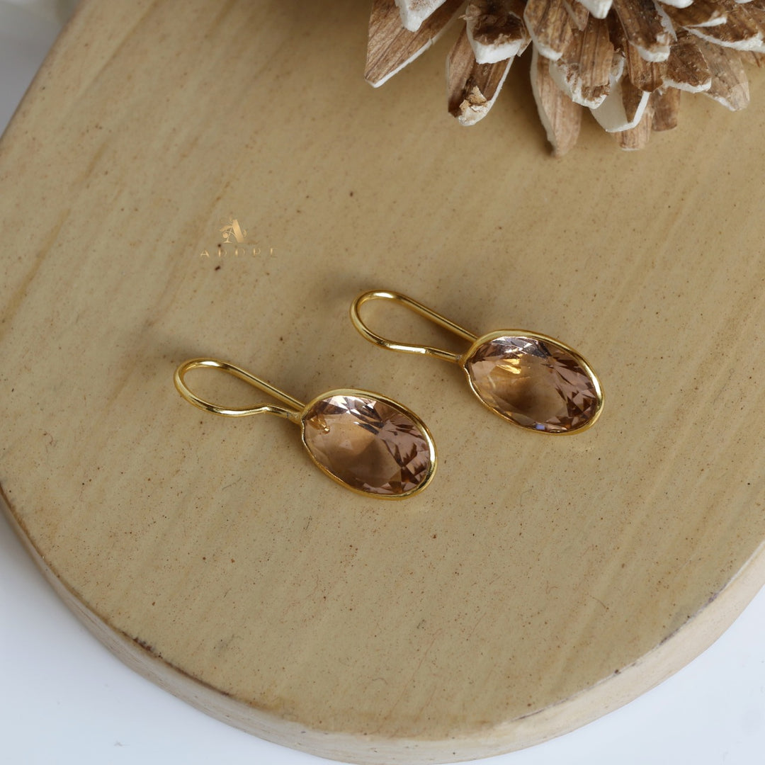 Nayanika Glossy Drop Earrings
