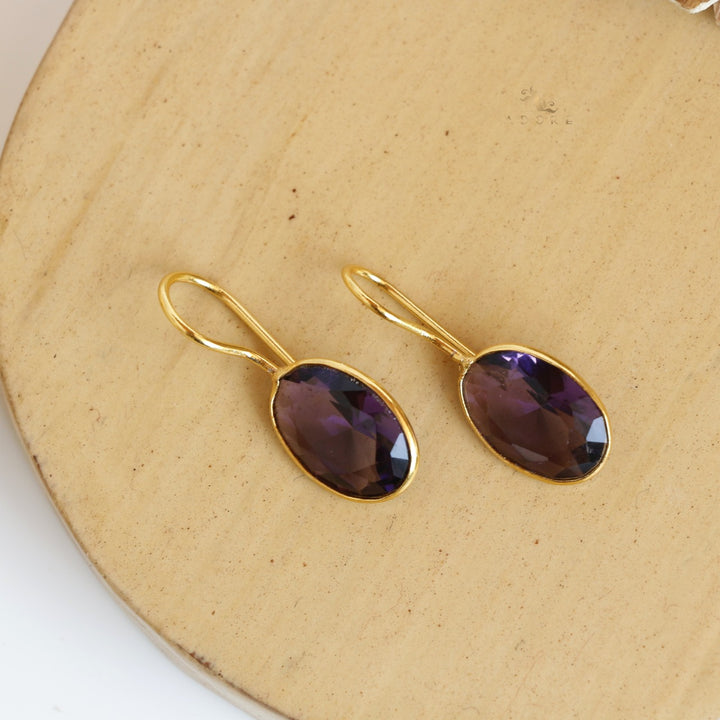 Nayanika Glossy Drop Earrings