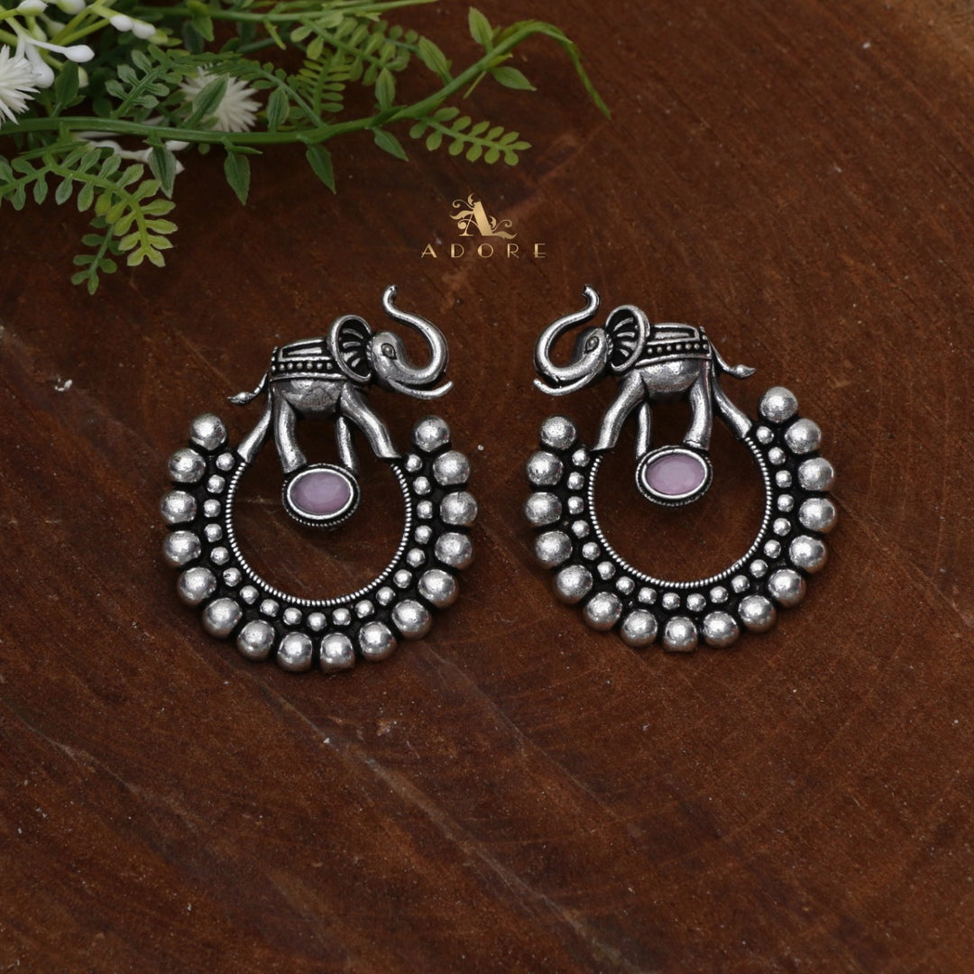 Gaja Silver Glossy Earring