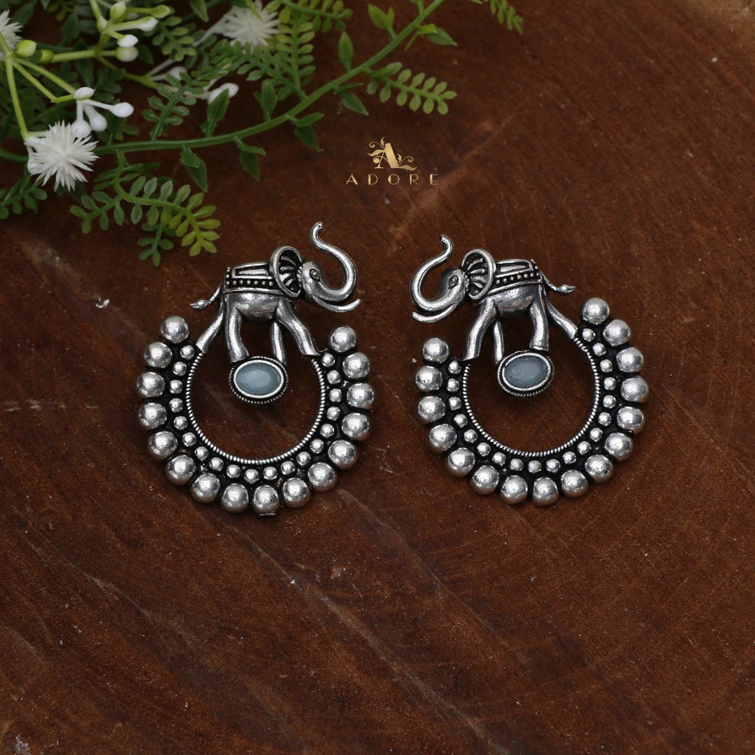 Gaja Silver Glossy Earring
