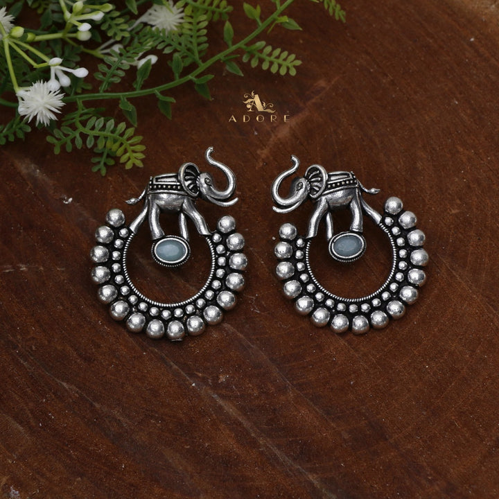 Gaja Silver Glossy Earring