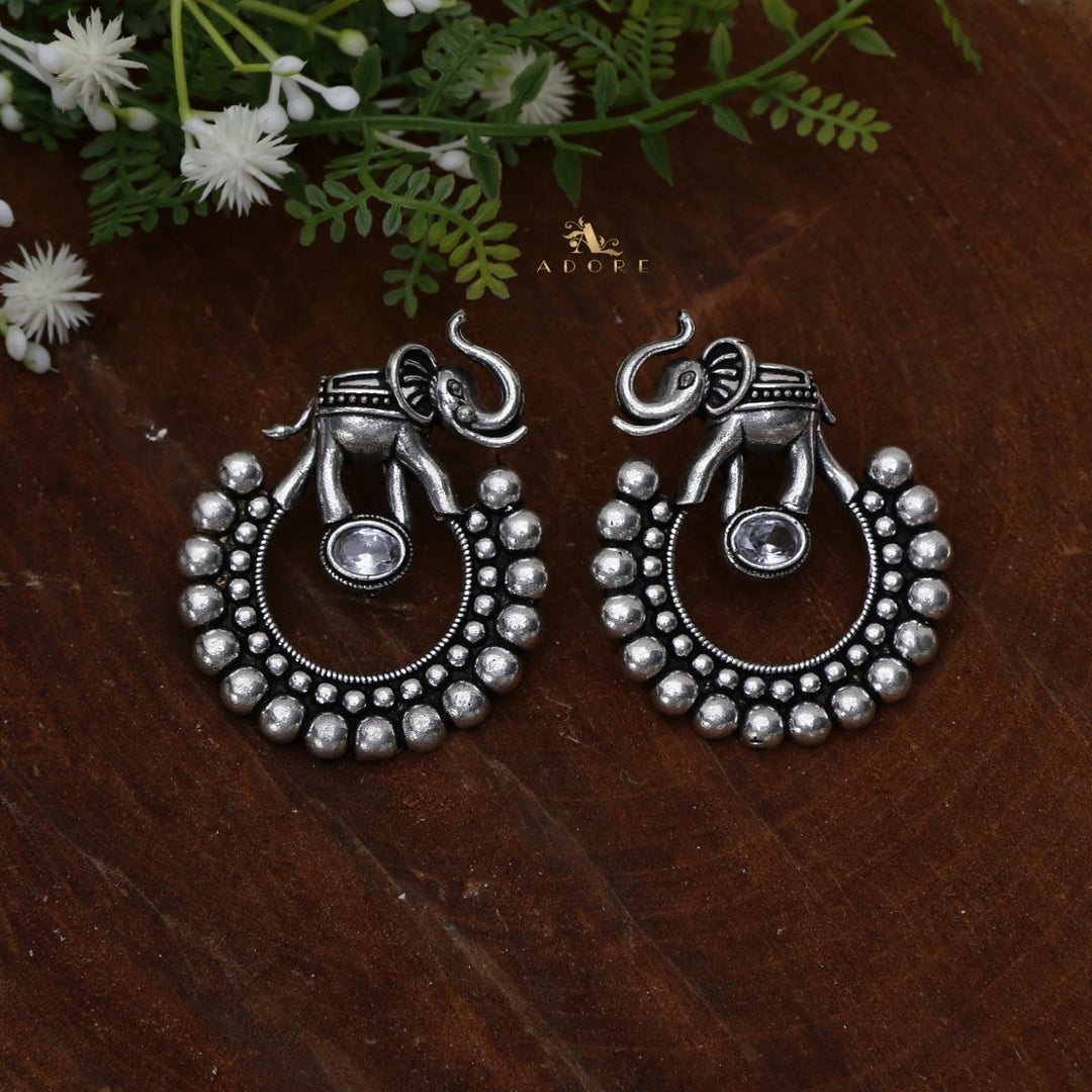 Gaja Silver Glossy Earring