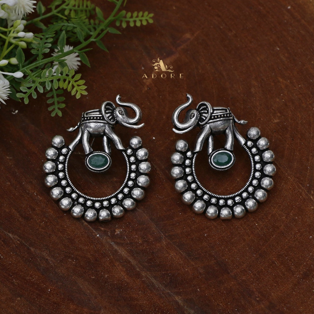 Gaja Silver Glossy Earring