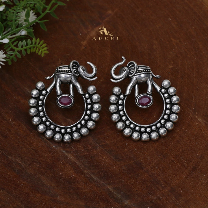 Gaja Silver Glossy Earring
