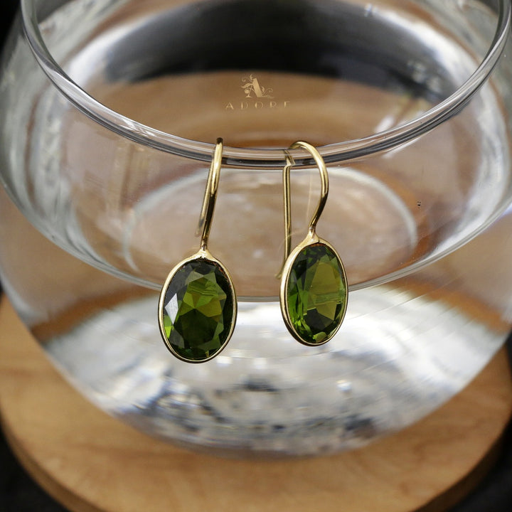 Nayanika Glossy Drop Earrings