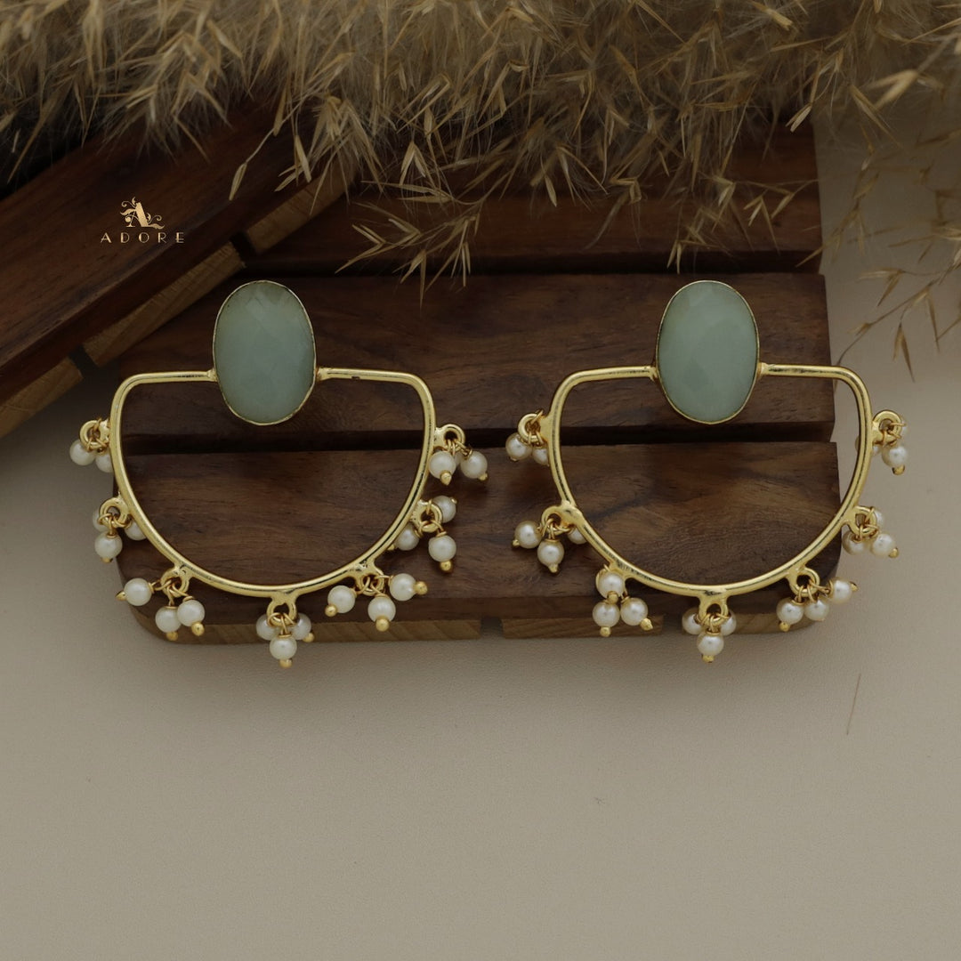 Glossy Alluring Earring